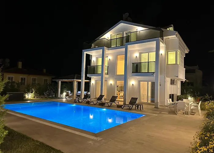 Sunshine 费特希耶